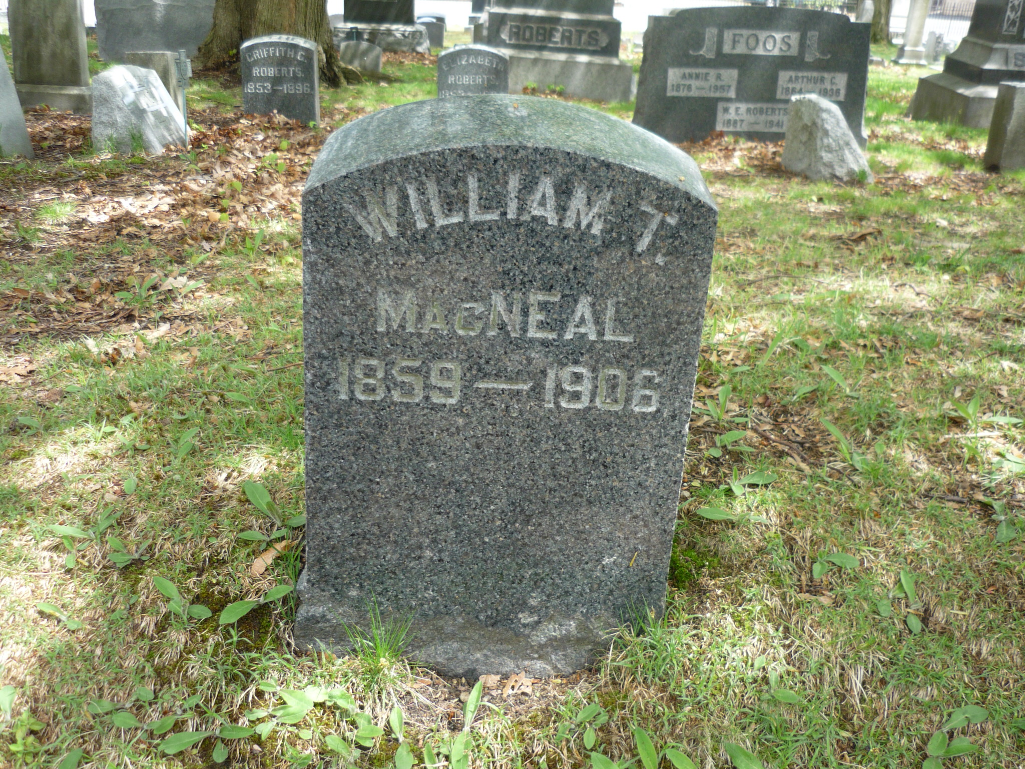 94153994_134325285313