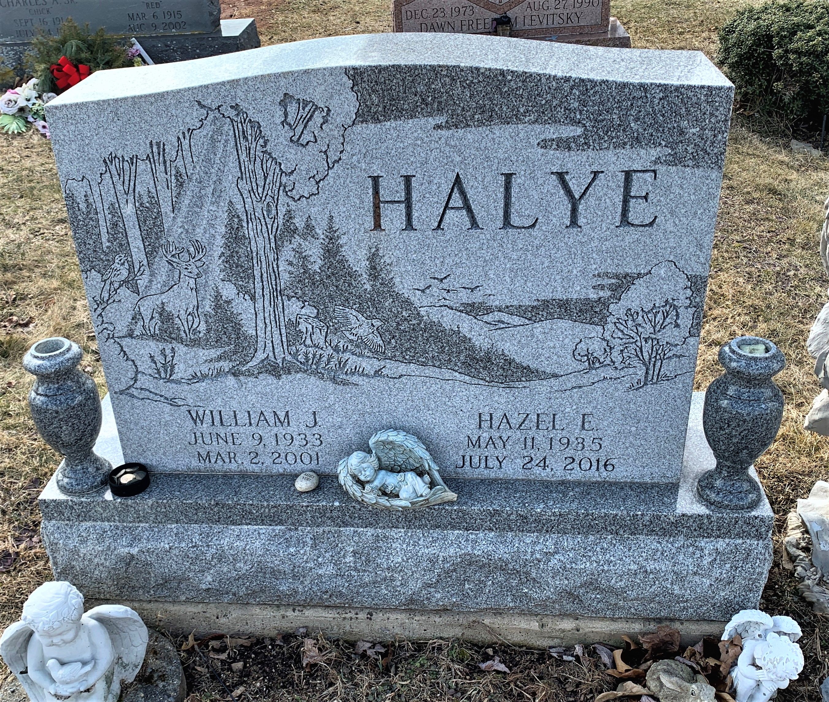 Halye - Wm J and wife Hazle Edith Hons-Halye - Mountain Grove Cemetery Mountain Grove Black Creek Twp Luzerne Co PA 2