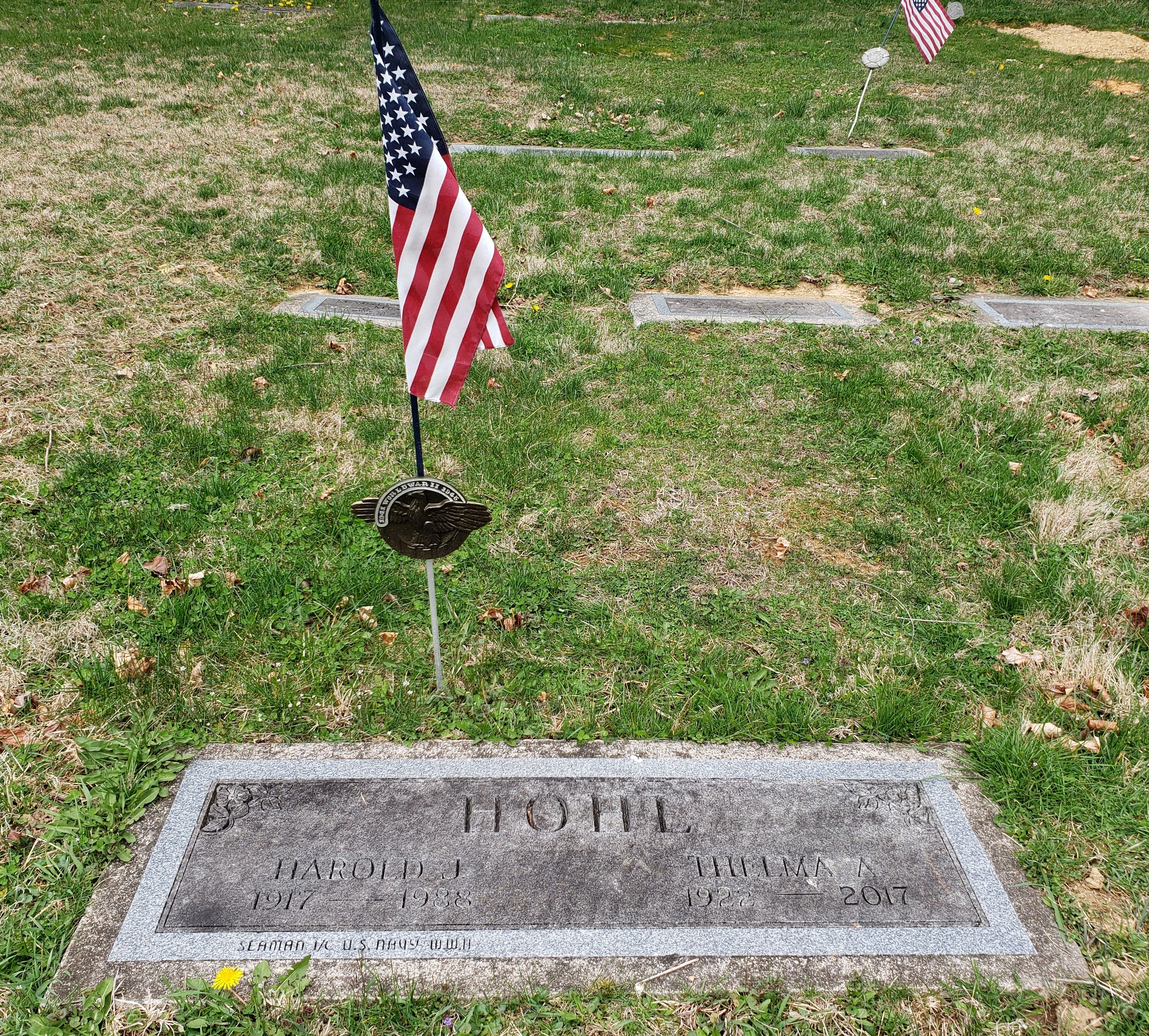 Headstone - Hohl