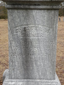 Headstone: Chester W Shiner