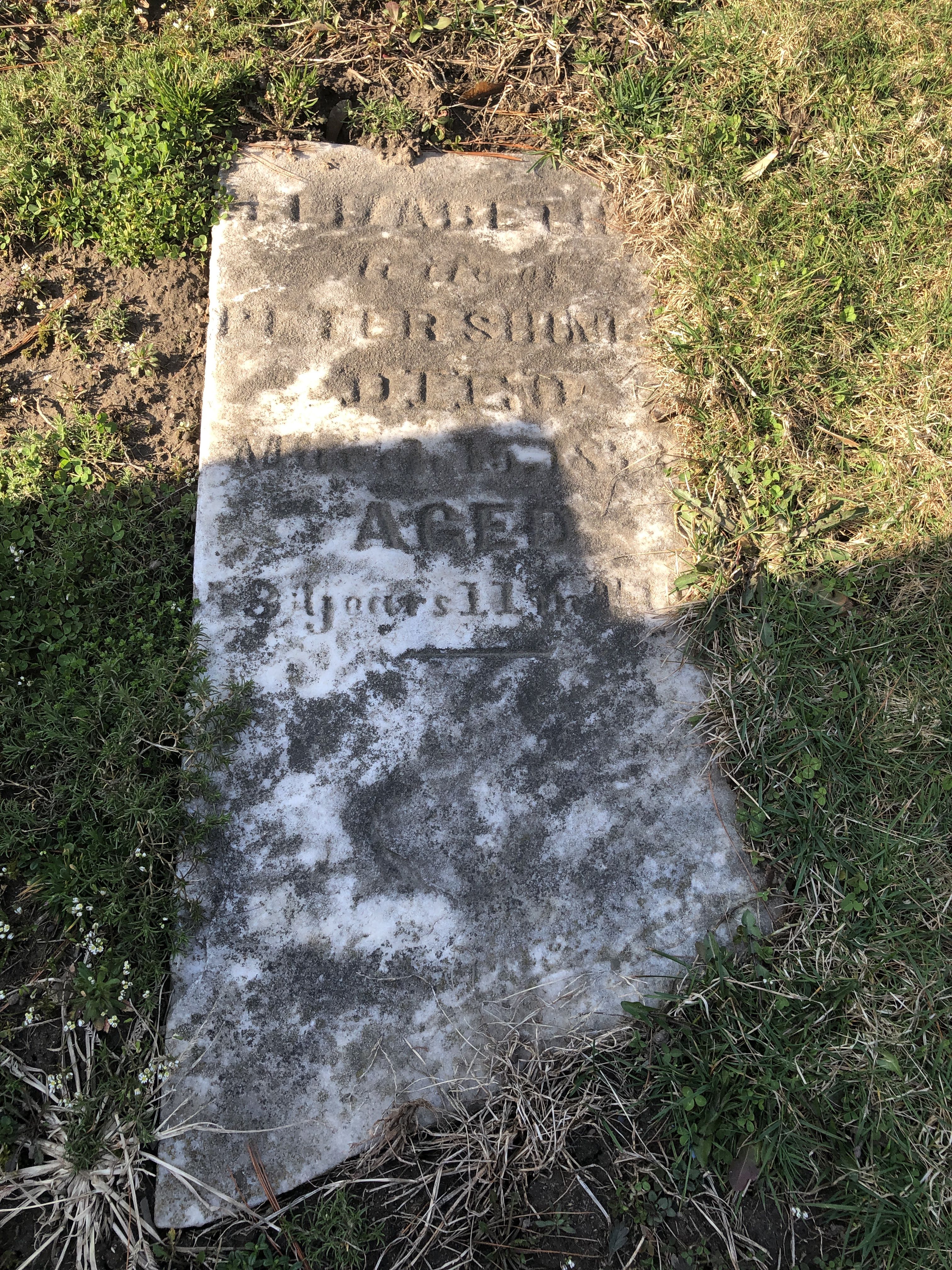 Headstone: Elizabeth Shiner