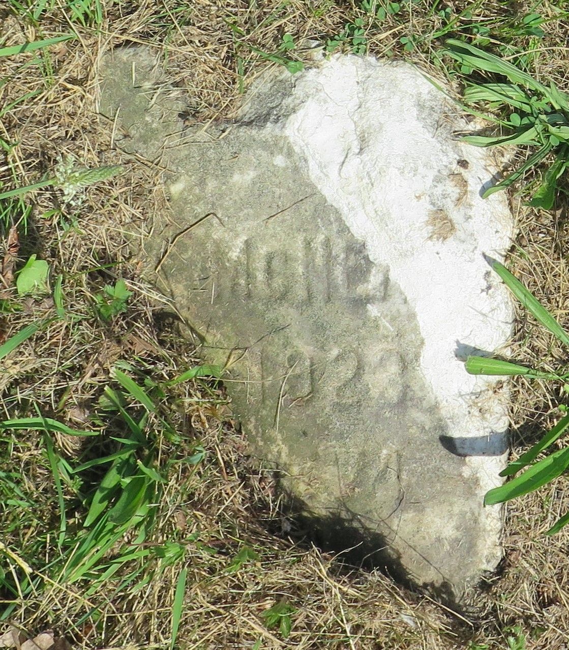 Headstone: Harvey McNeal