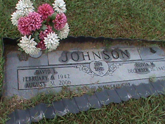 Headstone: Johnson - David L. & Olivia M.