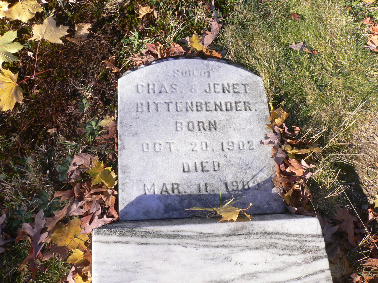 Headstone: Karl Bittenbender