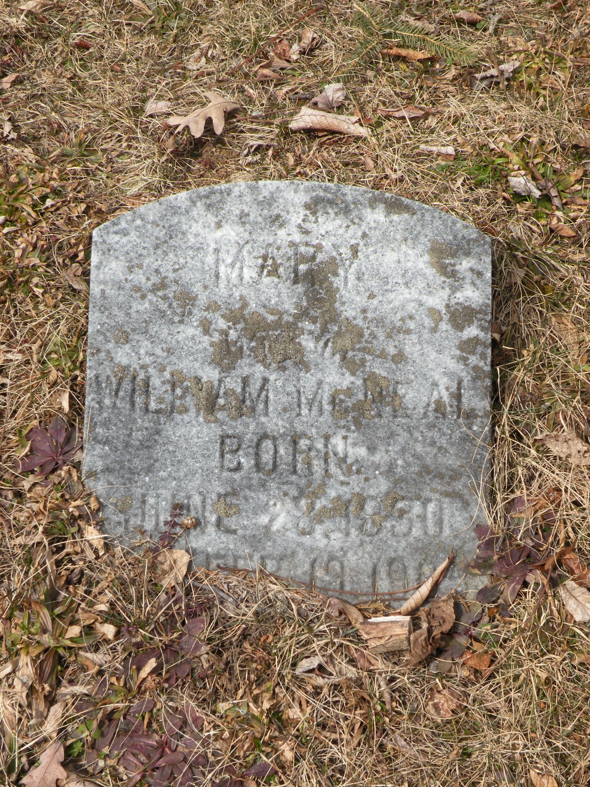 Headstone: Mary McNeal