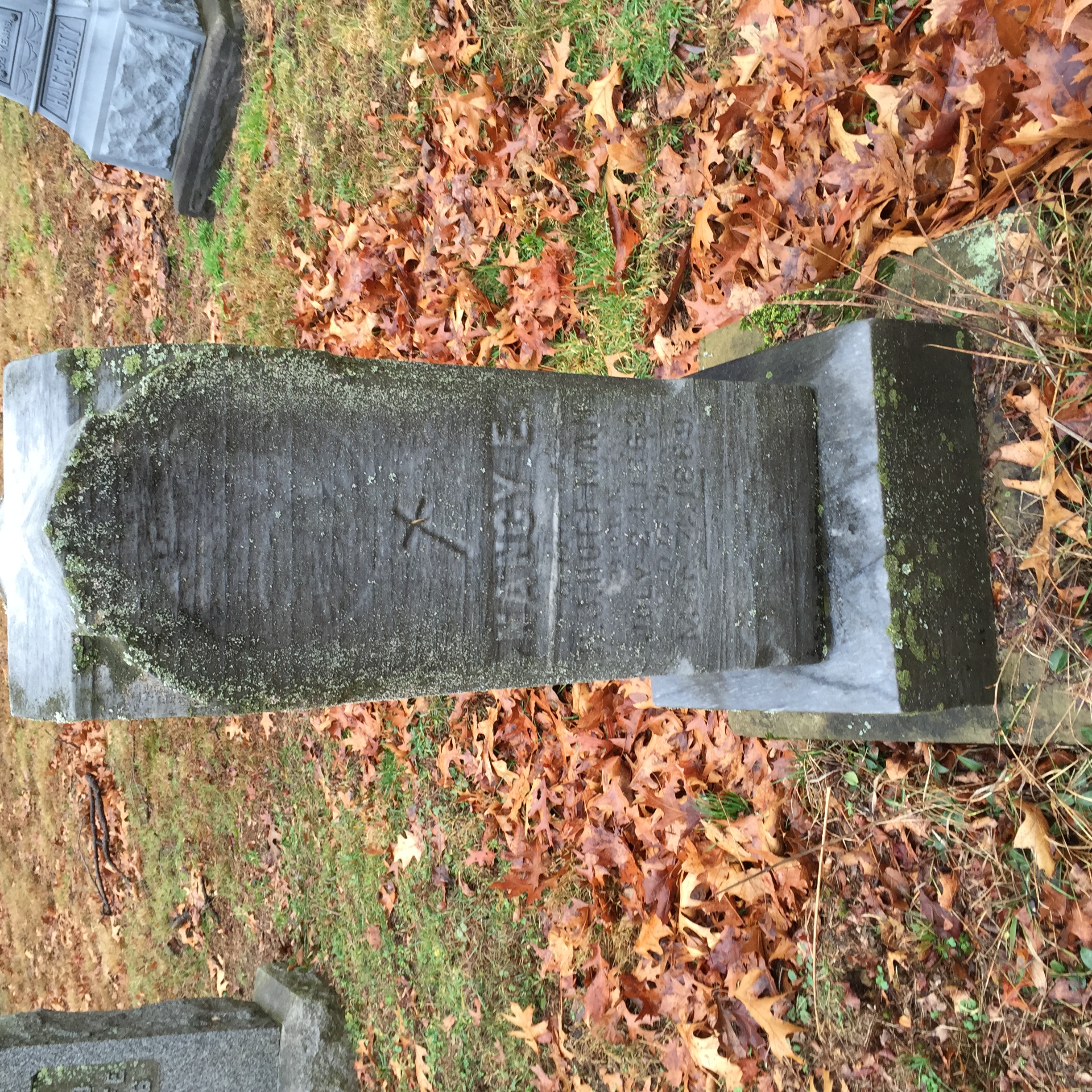 Headstone: Nancy E Hoffman
