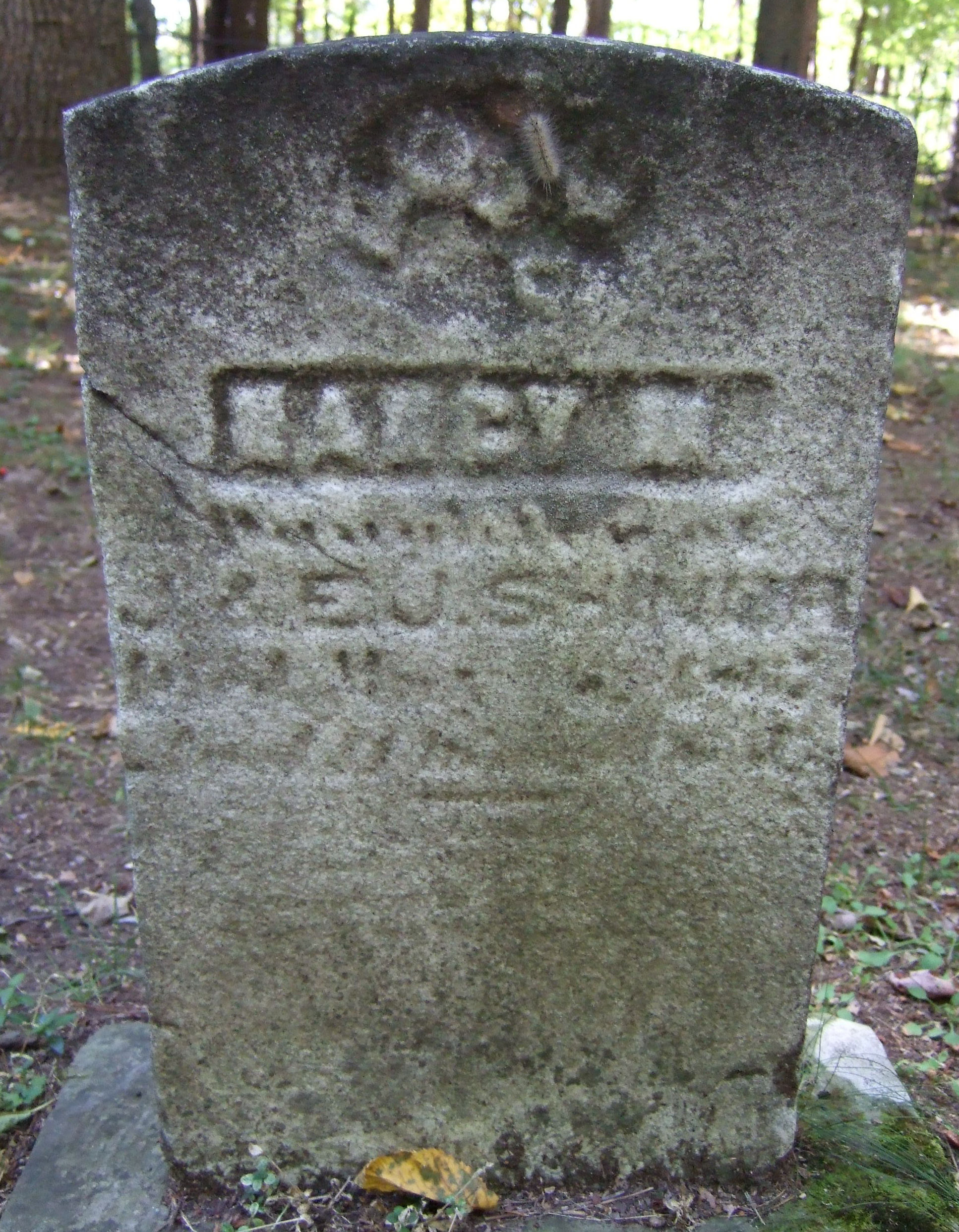 Nancy Shiner