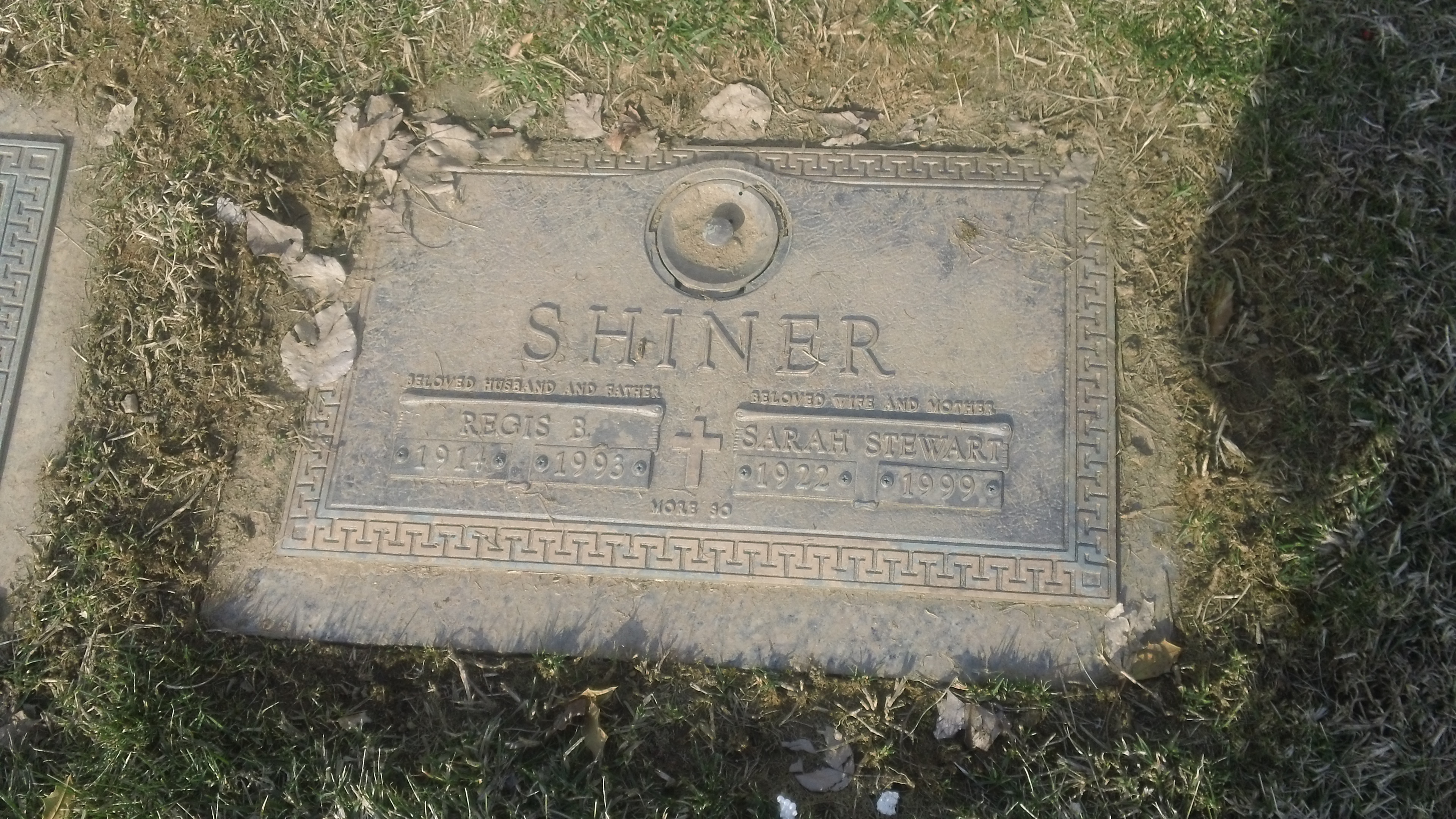 Shiner Regis Sarah Stewart